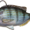 Savage Gear Pulse Tail Pinfish RTF Swimbaits