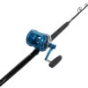 Avet EXW 50/2 Blue / TackleDirect Platinum Hook Standup Combo