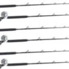 Shimano Talica TAC20BFC / TackleDirect Platinum Hook White Marlin Package W/ 6 Combos